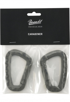 Carabiner 2-Pack olive