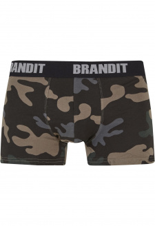 Boxershorts Logo 2-Pack darkcamo/blk